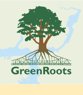 GreenRoots logo